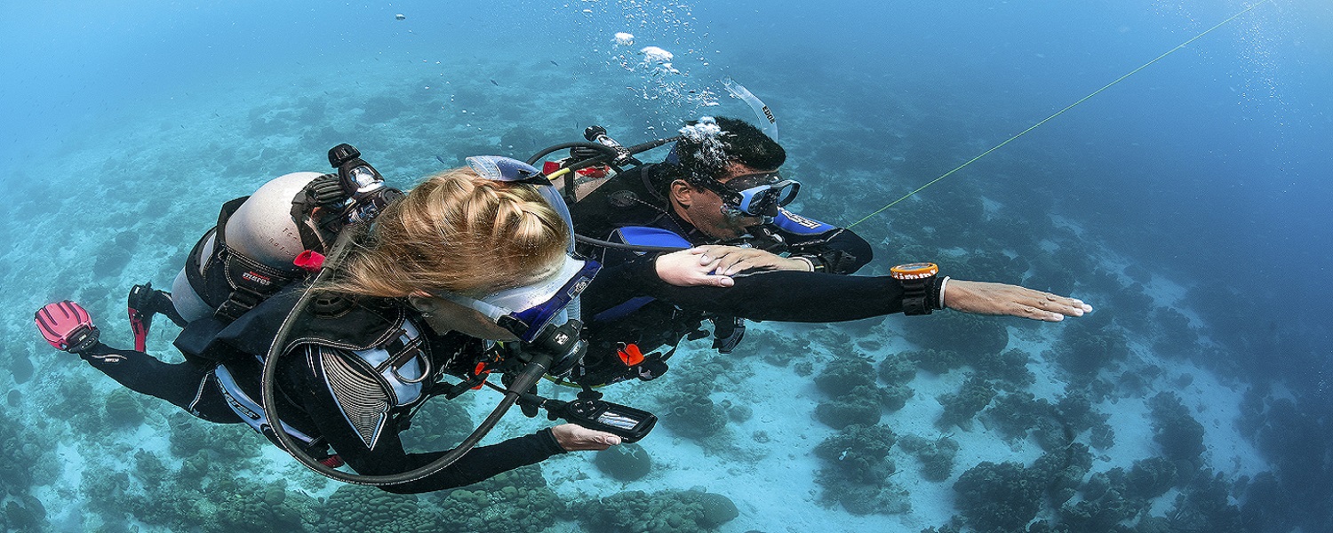 ametlla diving ametlla diving