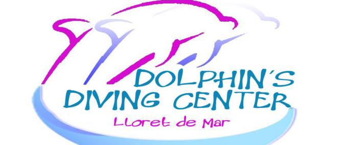 dolphins diving center