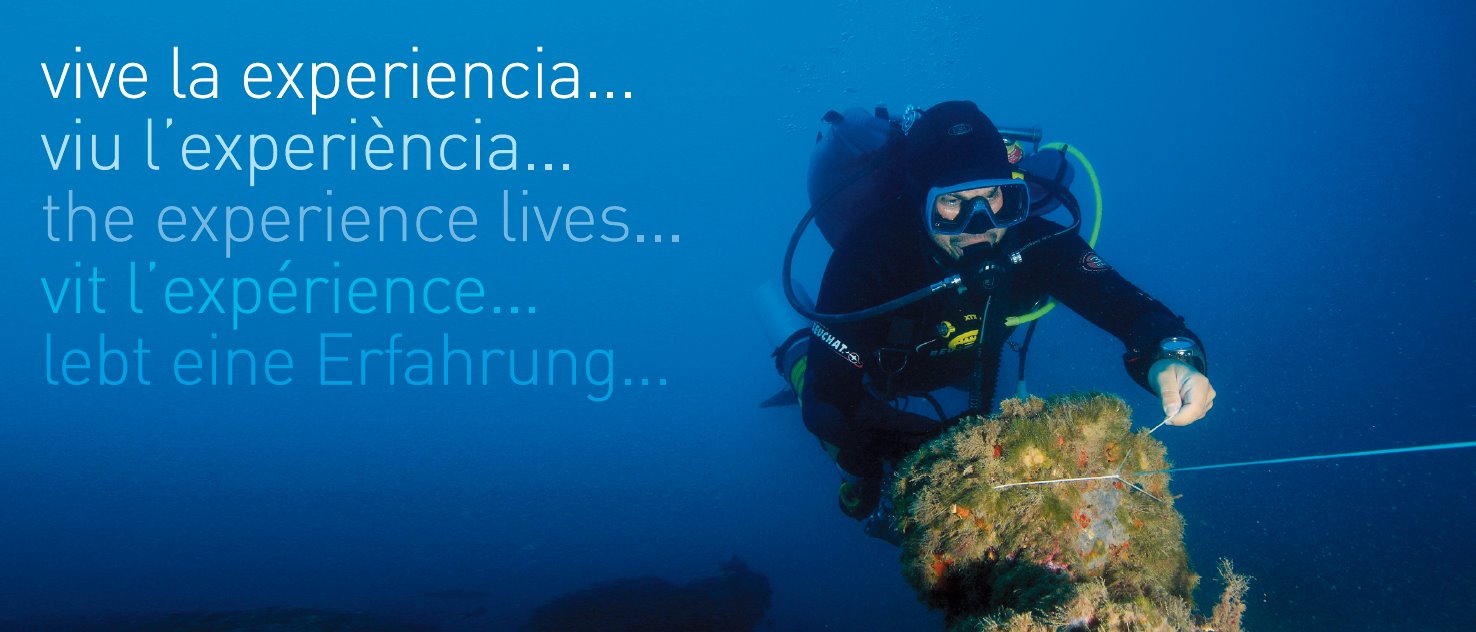 Glups diving glups diving