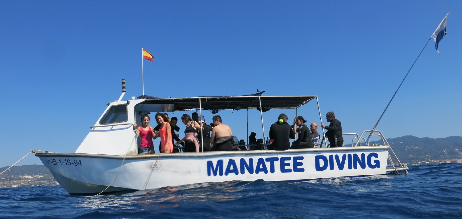 Manatee