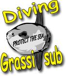 grassi sub grassi sub
