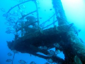 buceo en pecios