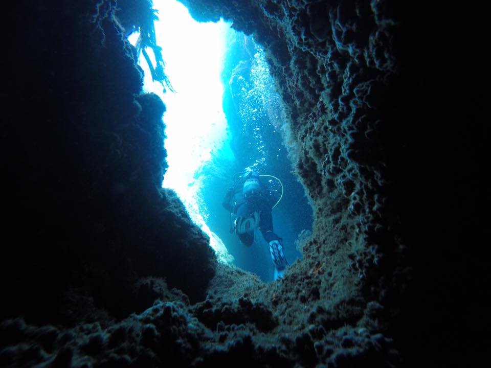 scuba alegre