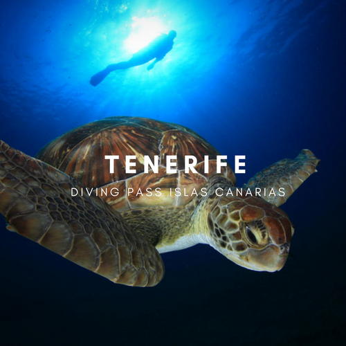 Diving pass Tenerife Diving pass Tenerife