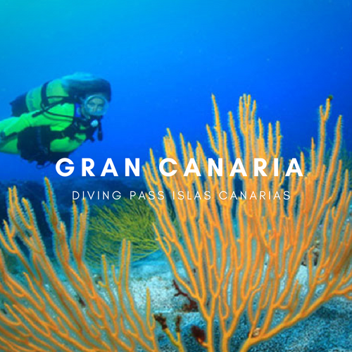 Diving pass Gran Canaria Diving pass Gran Canaria