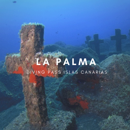 Diving pass la Palma Diving pass la Palma