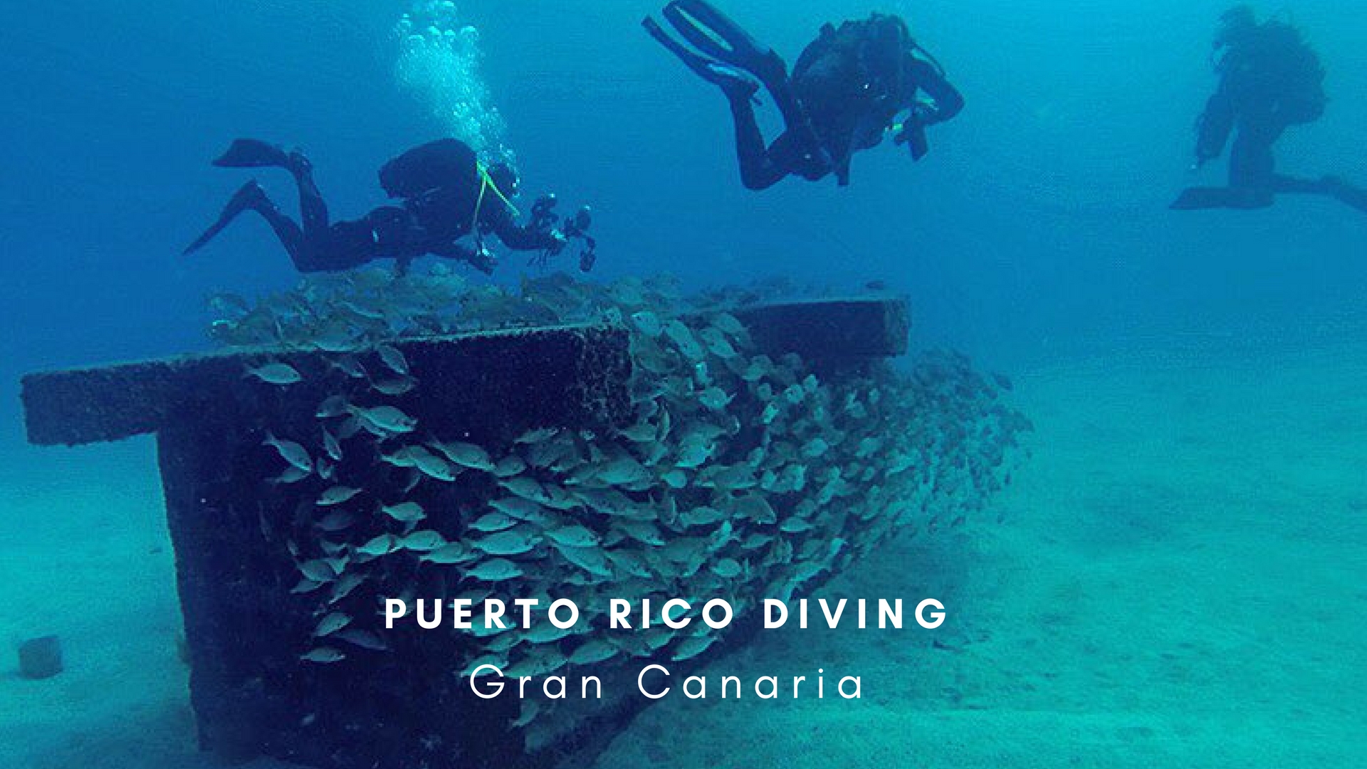 Puerto Rico Diving Gran Canaria Puerto Rico Diving Gran Canaria
