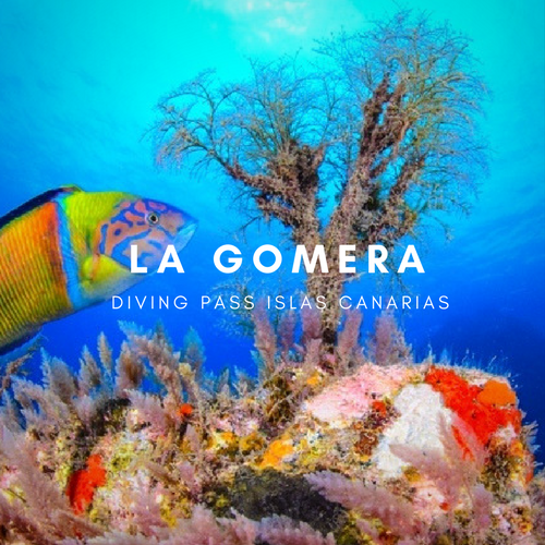 Diving pass la Gomera Diving pass la Gomera