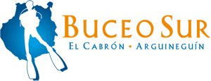 Buceo Sur Gran Canaria Buceo Sur Gran Canaria