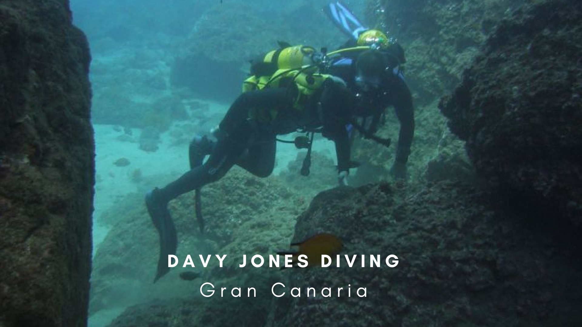 Davy Jones Diving Davy Jones Diving