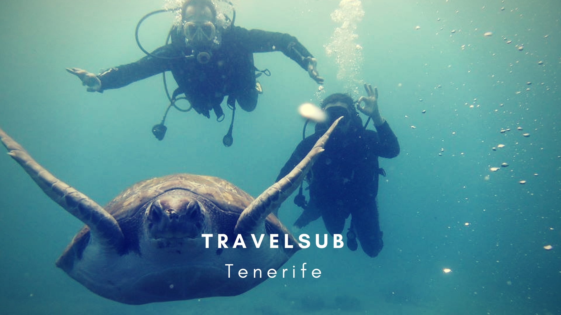 TravelSub Tenerife TravelSub Tenerife